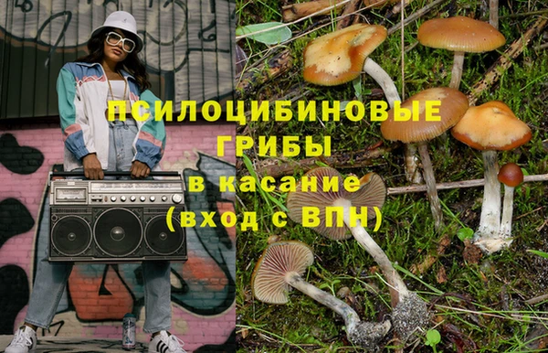 крисы Армянск