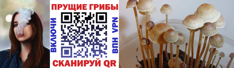 Галлюциногенные грибы ЛСД  где купить наркоту  Арсеньев 
